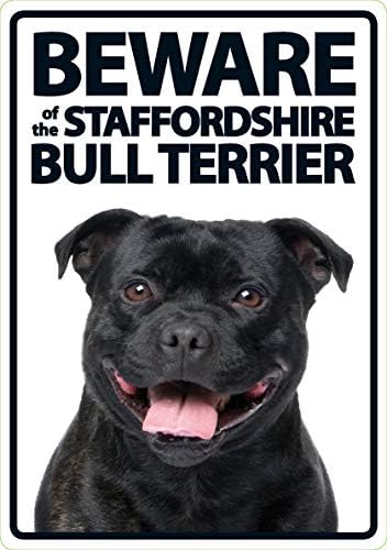 Staffordshire Bull Terrier Plastik Tabelasına Dikkat Edin